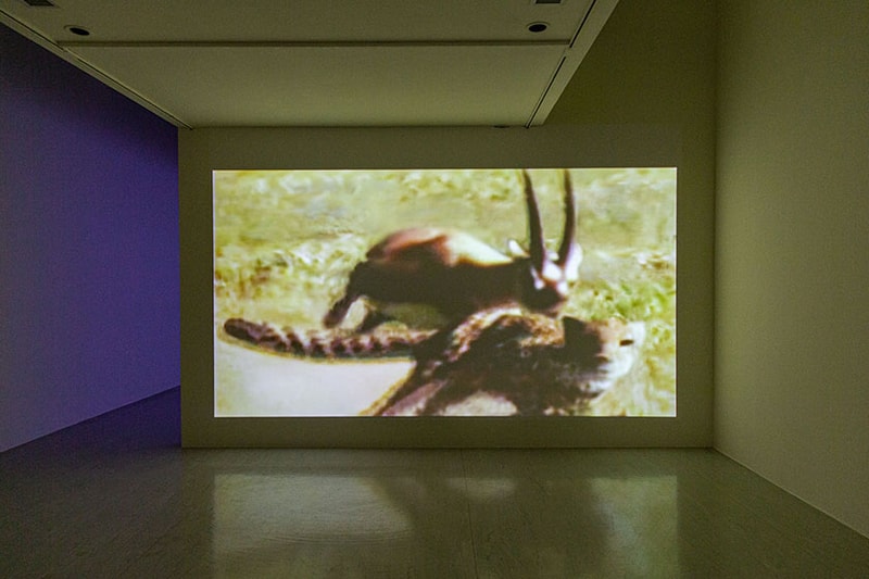 Taipei Fine Arts Museum 13th Taipei Biennial Small World open