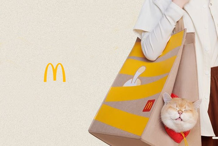 當麥當勞紙袋變成了「貓窩」：McDonald's 只送不賣的限量小物引起熱議！