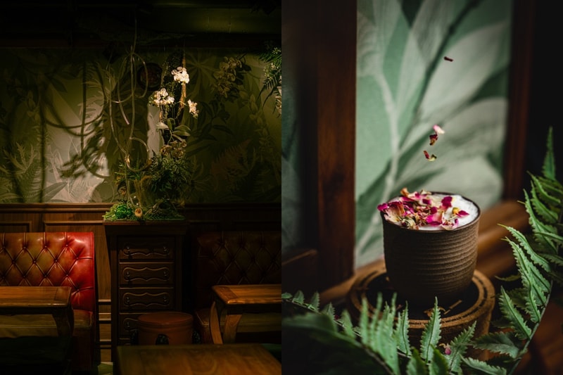  Dr. Fern's Gin Parlour central cocktail