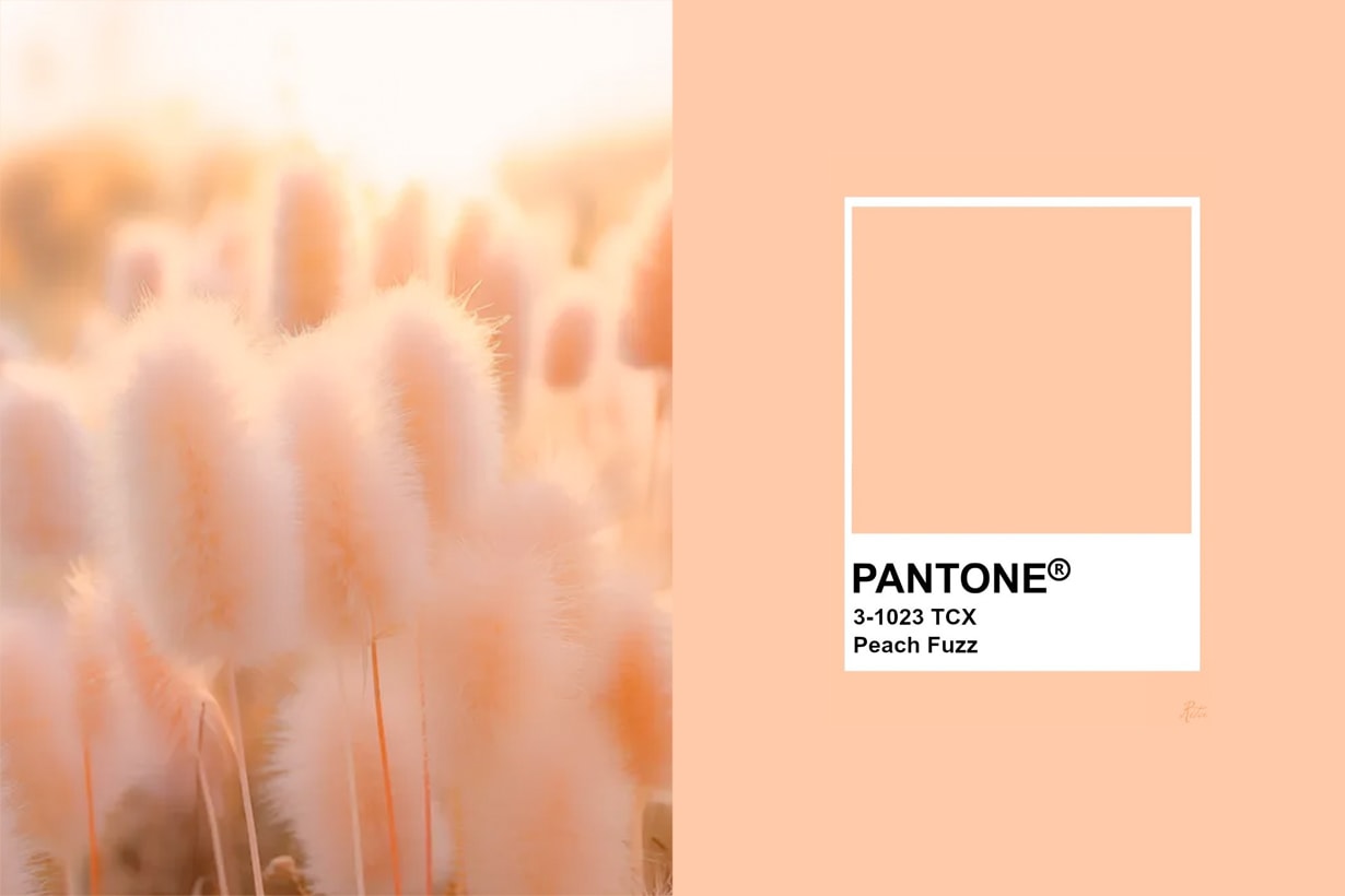 Pantone peach fuzz color of the year 2024 announce