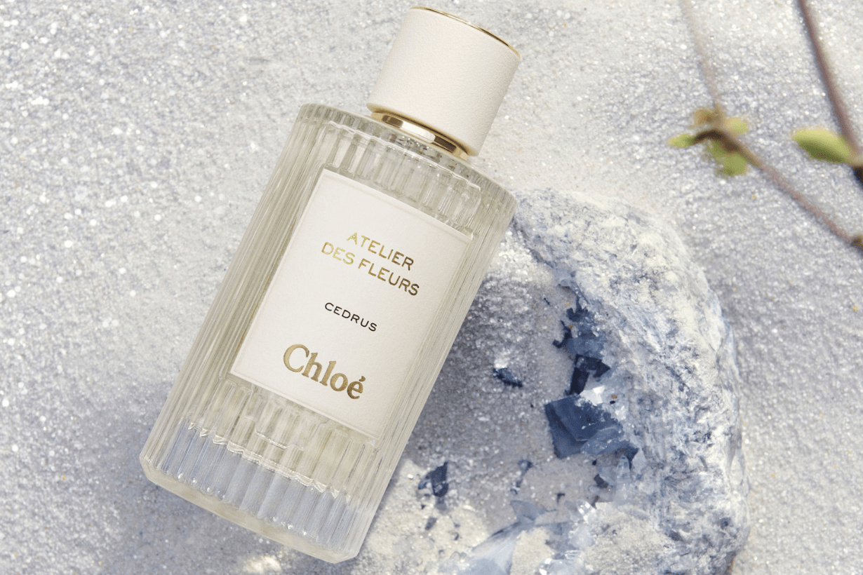 woody notes perfume