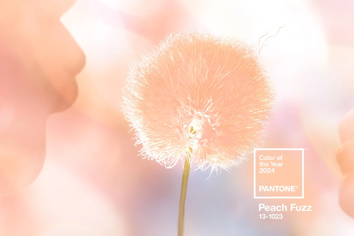 Pantone peach fuzz color of the year 2024 announce