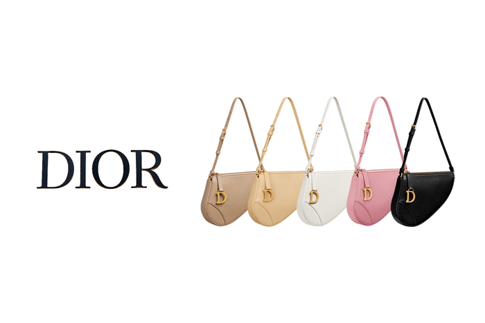 2024 大熱包款:New Jeans Haerin 在背的 Dior Saddle 系列出新款了!