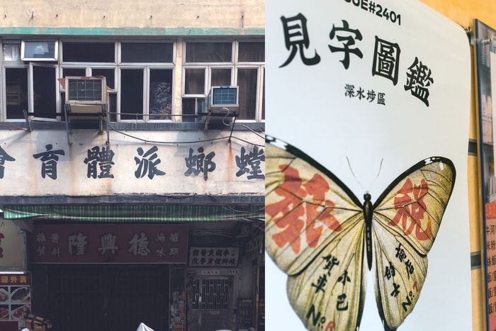 尋覓快將消失的香港手寫招牌！「都市字治學」融入昆蟲標本的另類展覽《見字圖鑑.深水埗》