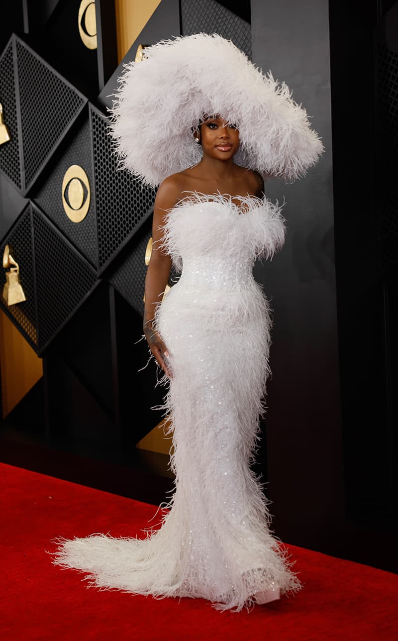 2024 66th Annual Grammy Awards Red Carpet