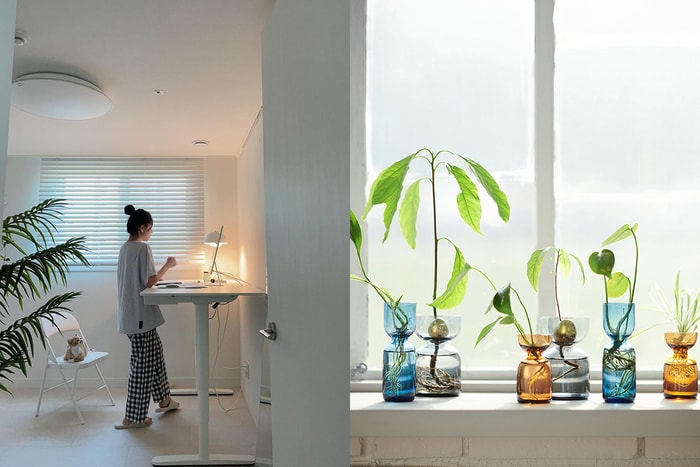偷學韓國女生：用 IKEA 10+ 療癒植栽系列，平價也能打造美美的居家空間！