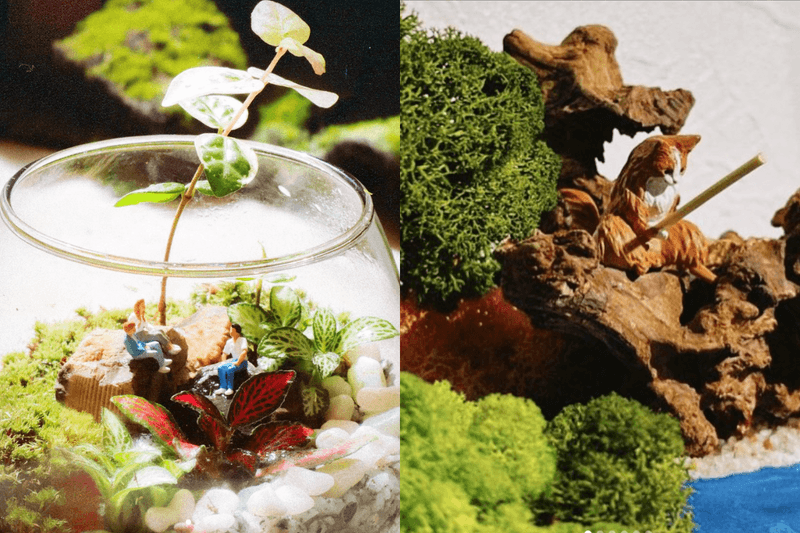 Popbee Circle Sunset Lab 日落實驗室