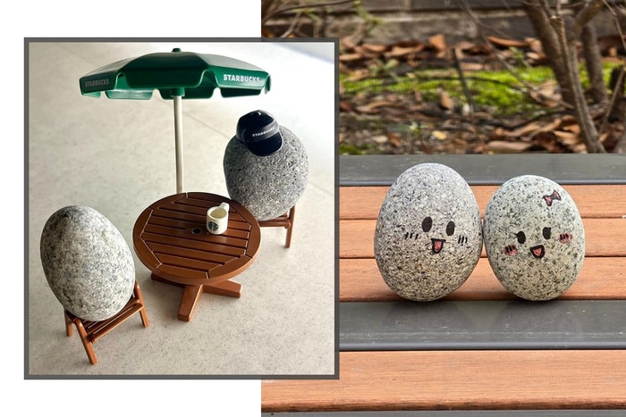 或許養貓狗太花費又花心思,韓國年輕人最近都流行養「寵物石頭」!