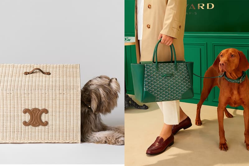 「國際寵物日」為萌寵添購裝備： goyard 這個項圈未免太帥，飼主真的會失心瘋！