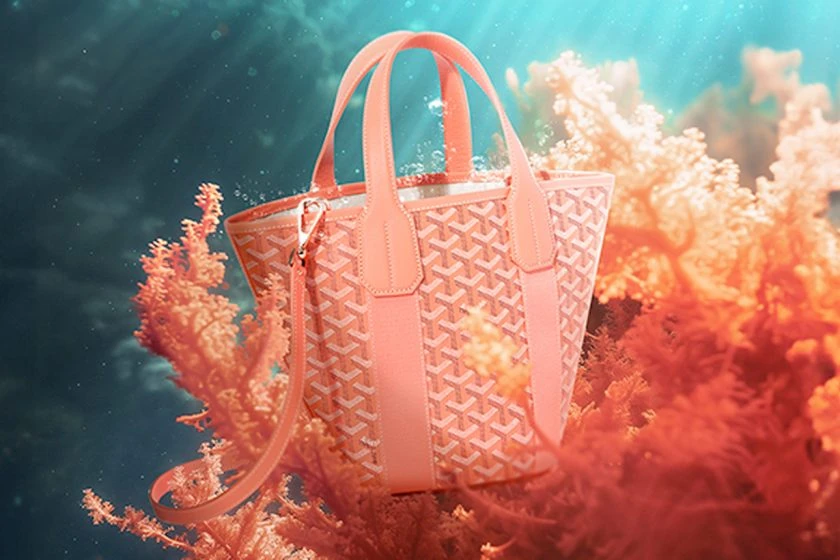 goyard coral limited 2024 Belharra PM Aligre