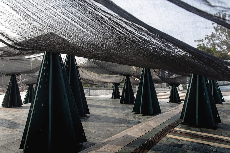 Taipei Fine Arts Museum TFAM 2024 X-site Analogue Forest info