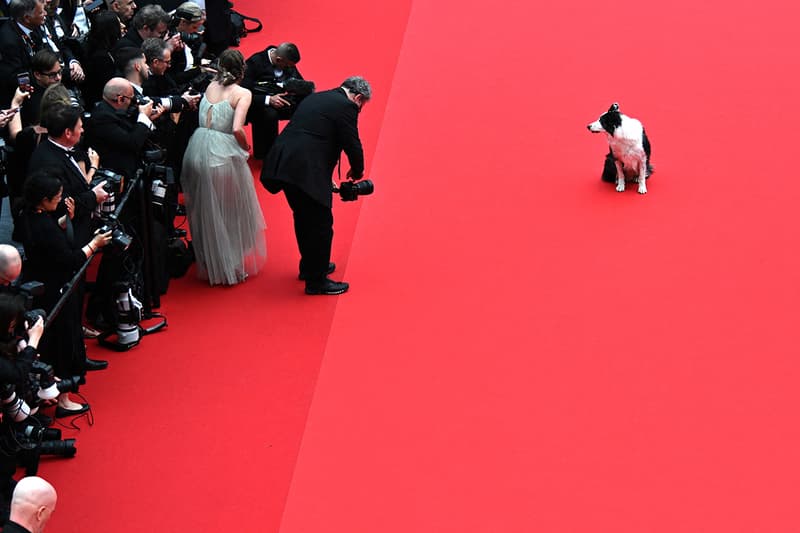 2024 Festival de Cannes 77 Anatomie dune Snoop chute Messi Red Carpet