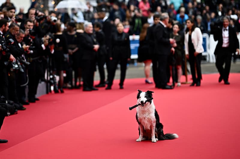 2024 Festival de Cannes 77 Anatomie dune Snoop chute Messi Red Carpet