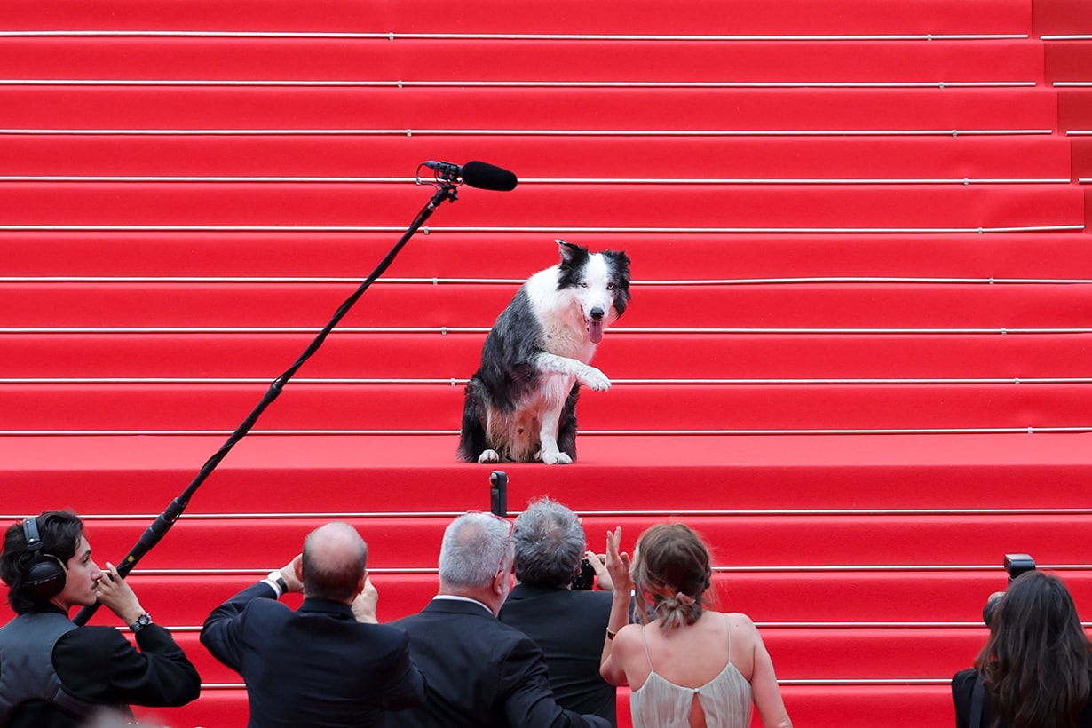 2024 Festival de Cannes 77 Anatomie dune Snoop chute Messi Red Carpet