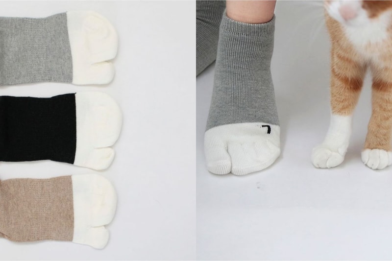 日本女生超紅的「貓咪襪子」，買回家測試貓貓的反應！