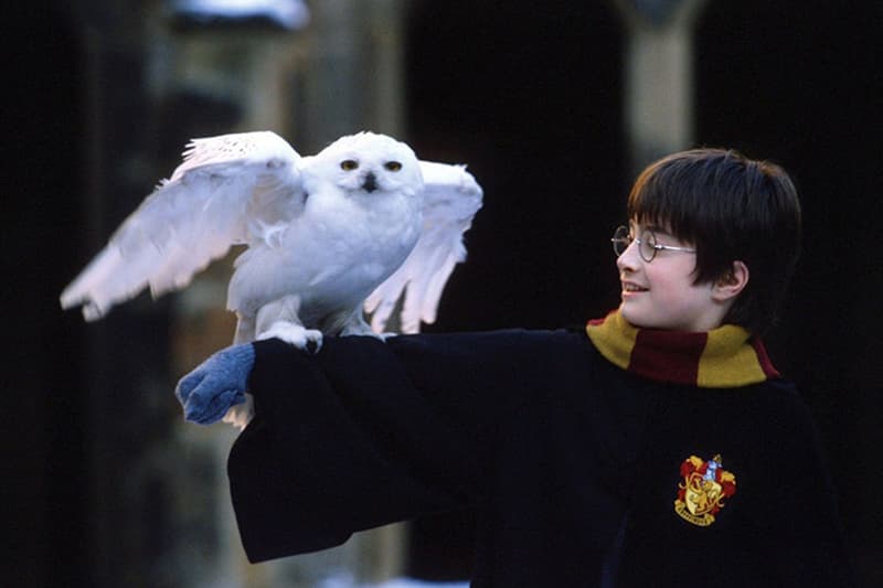 Harry Potter Drama 2026 release Daniel Radcliffe