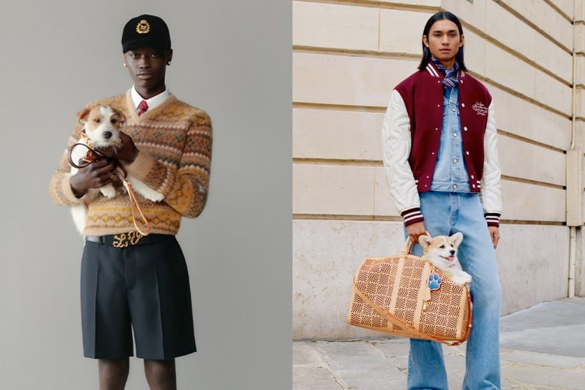 louis vuitton dog lvers canine collection pet luxury
