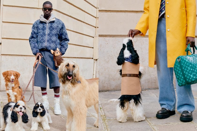 louis vuitton dog lvers canine collection pet luxury