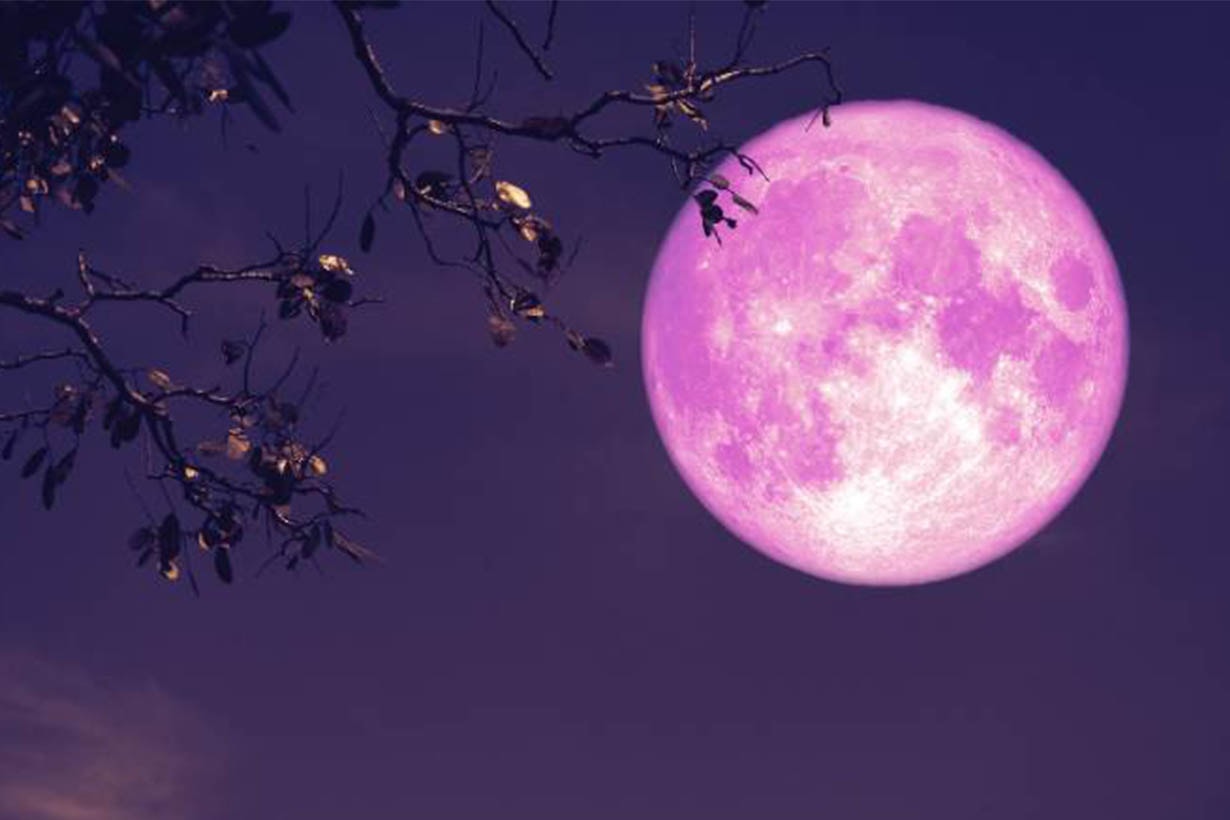 The most romantic supermoon?Full strawberry moon will come up in june