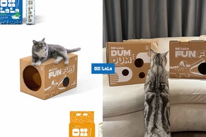 Popbee Circle 會員福利：好用又好玩，送你貓咪已經霸佔紙箱的 OH!LàLà 貓砂組合！