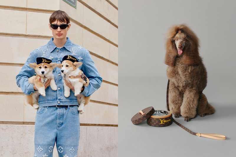 Louis Vuitton 寵物系列 DOG LVERS，超奢華狗屋、Monogram 老花喝水碗... 太生火！