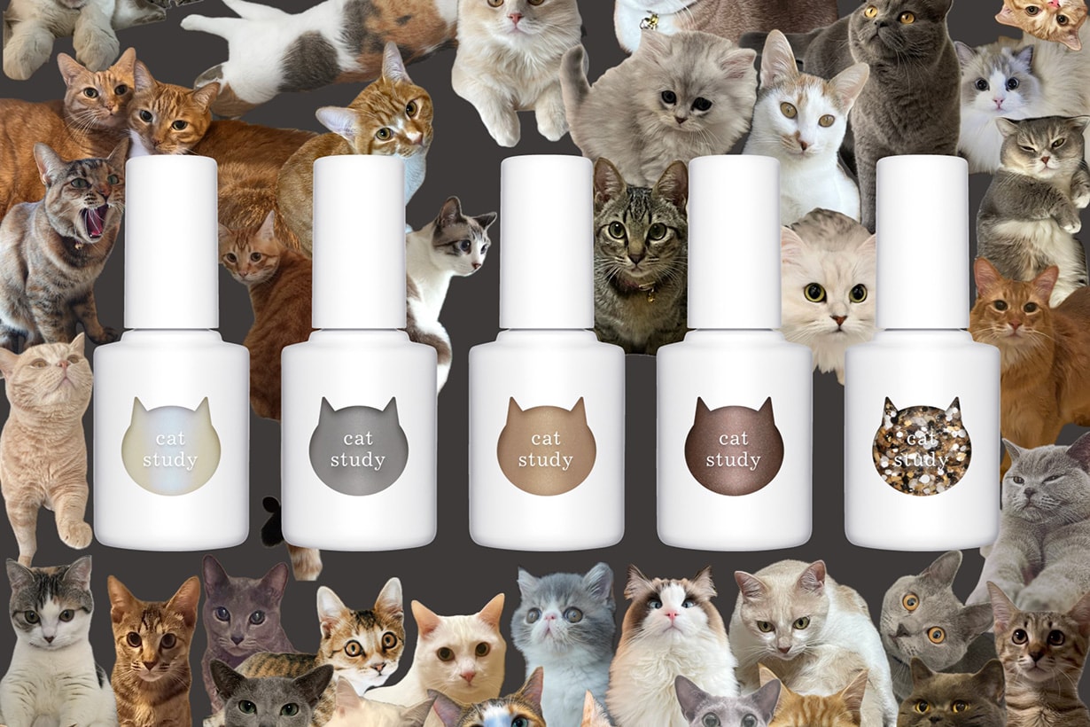 uka Cat Study Nail Polish release info