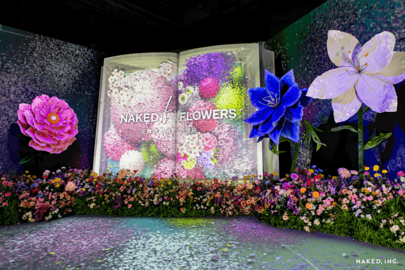 Popbee App 會員限定：沉浸式體驗多感觀花海  免費送你 NAKED FLOWERS 花舞光影展香港站​​門票