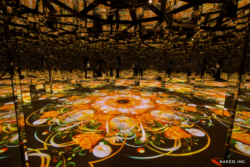 Popbee App 會員限定：沉浸式體驗多感觀花海  免費送你 NAKED FLOWERS 花舞光影展香港站​​門票