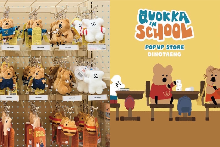 韓國人氣偶像 Dinotaeng 登台! 超可愛 Quokka 周邊,少女心即將爆發