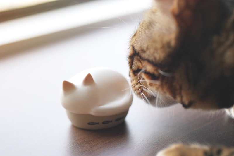 radius NEKO True Wireless Earphones HP-C28BT