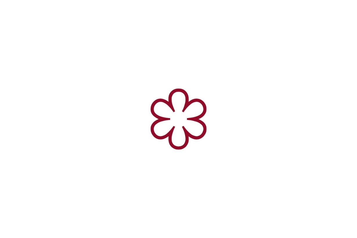 the Michelin Guide 2024 star restaurant list
