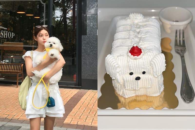 韓國女生私藏的梨泰院狗狗蛋糕店,不光有顏值美味度也在線!
