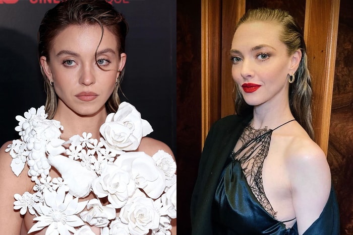 女神合體: Amanda Seyfried、Sydney Sweeney 出演《家弒服務》,改編自暢銷驚慄小說