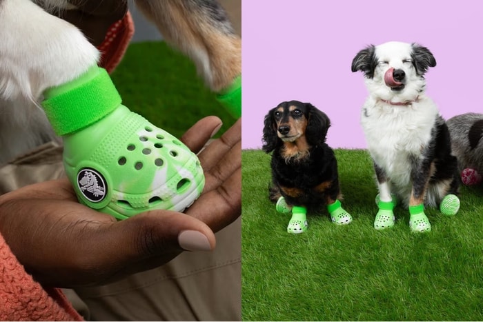 狗狗也能穿:CROCS 推出寵物用的鞋款,要與愛犬一起拼 dresscode 嗎?