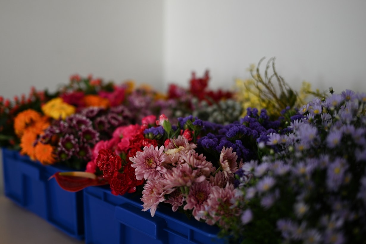 HIDE DAILY Taipei Momentary Flower Art Exhibition Info