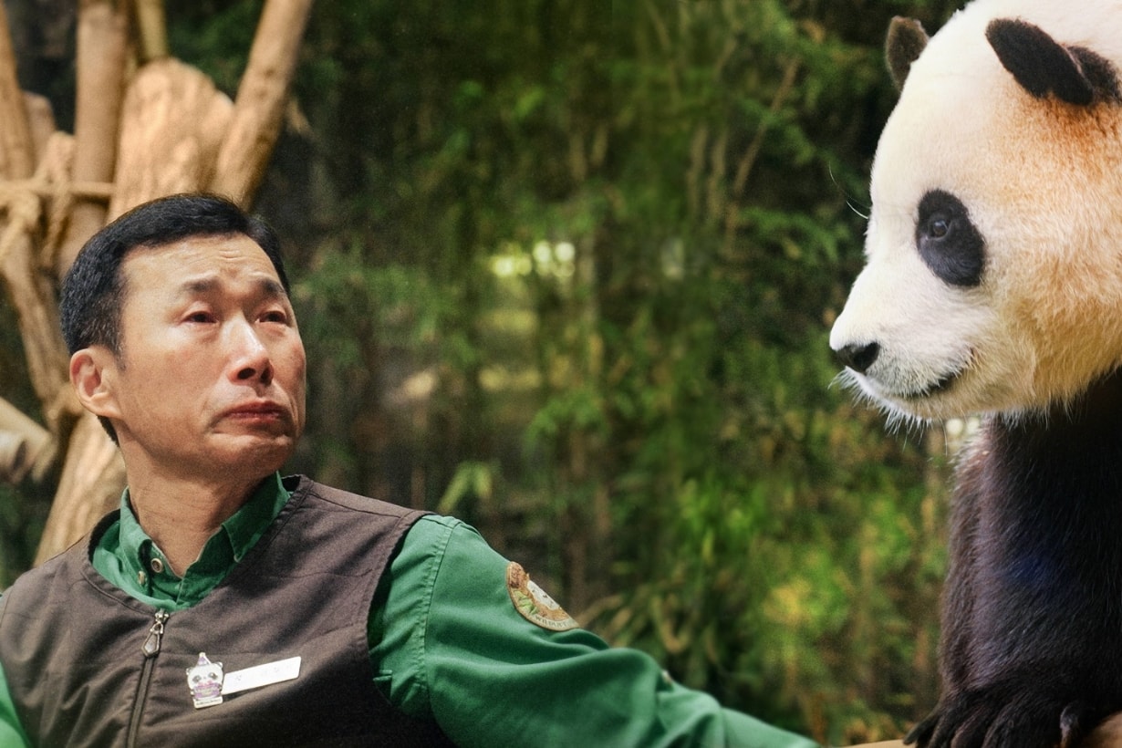 My Dearest Fu Bao Movie trailer release info