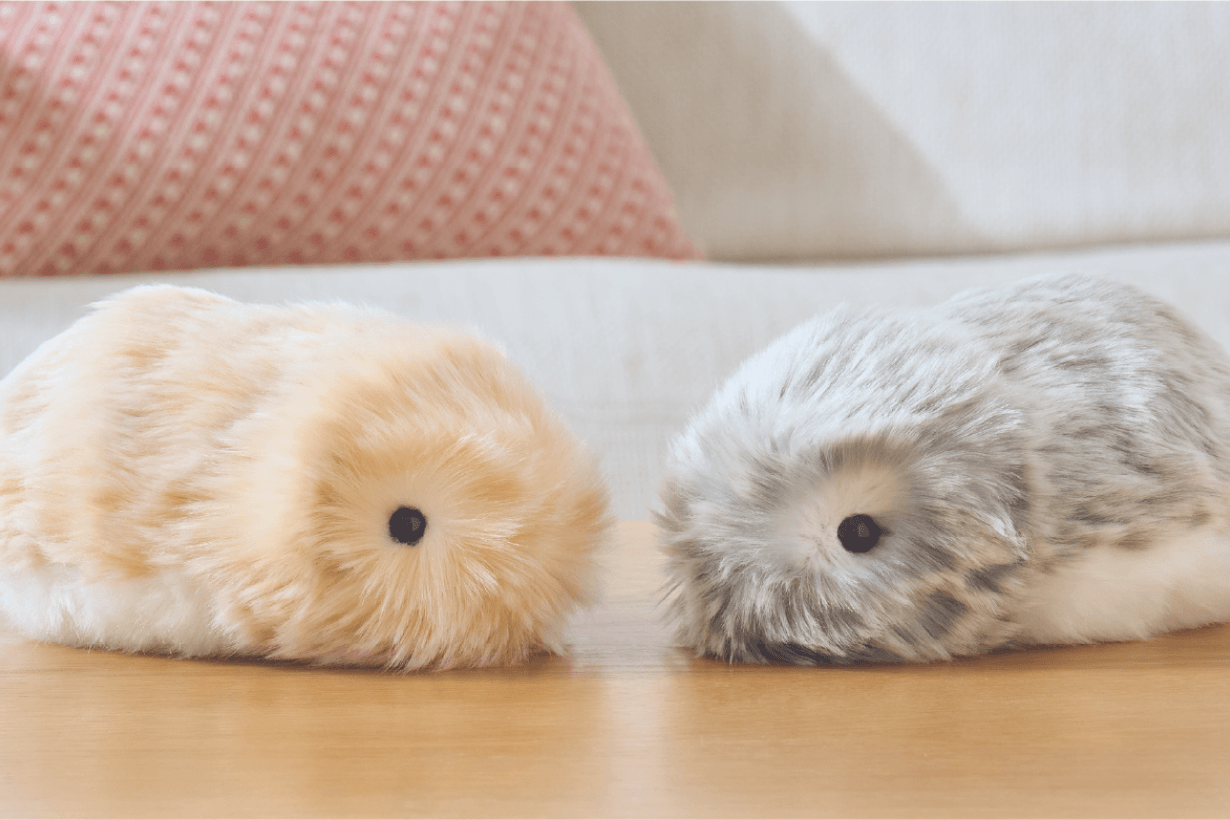 CASIO Moflin AI Robotic pet info