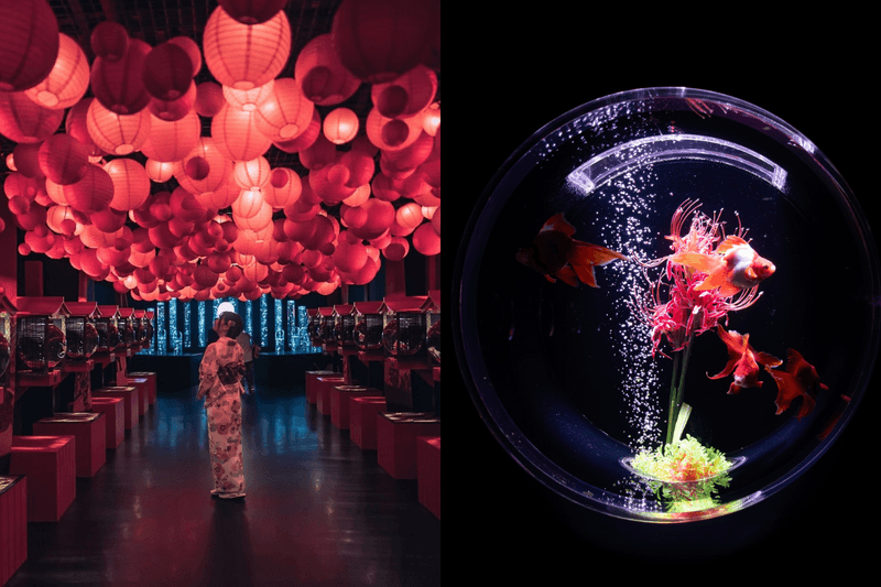 Art Aquarium in Taipei open info