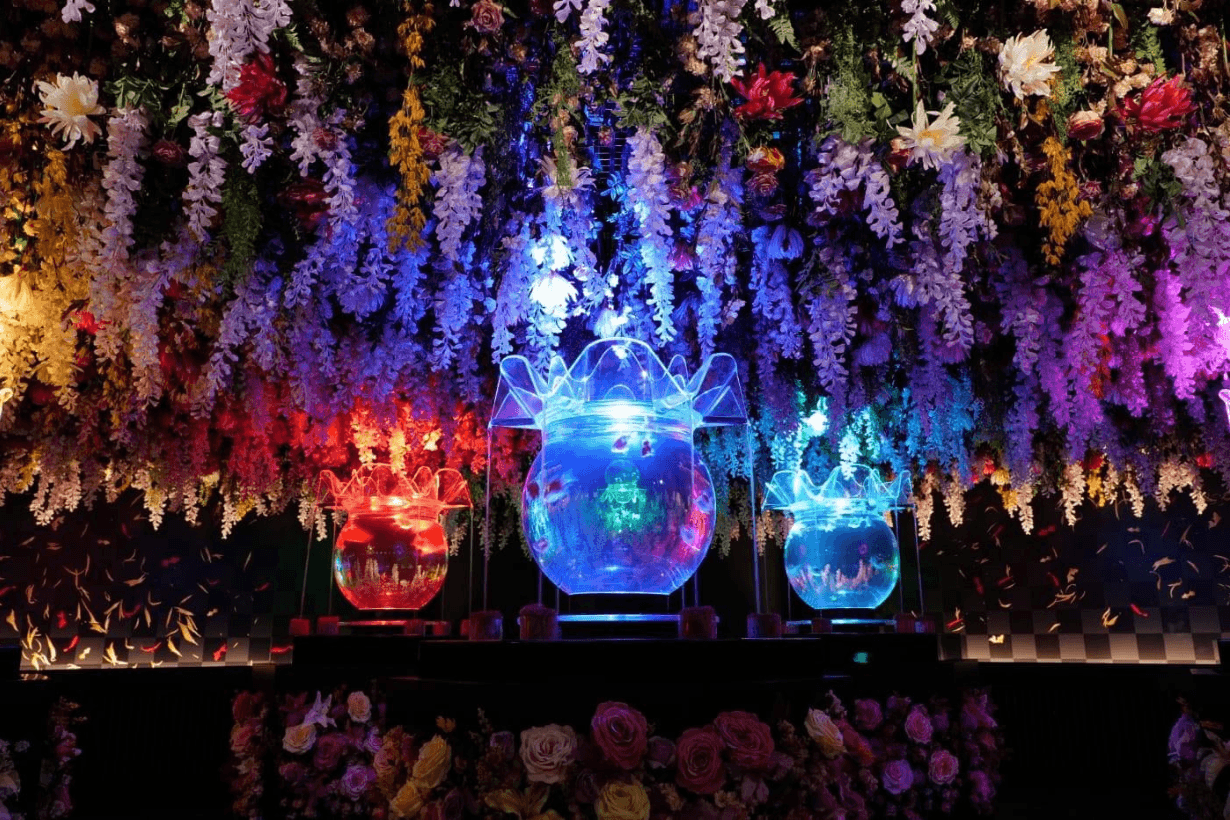 Art Aquarium in Taipei open info