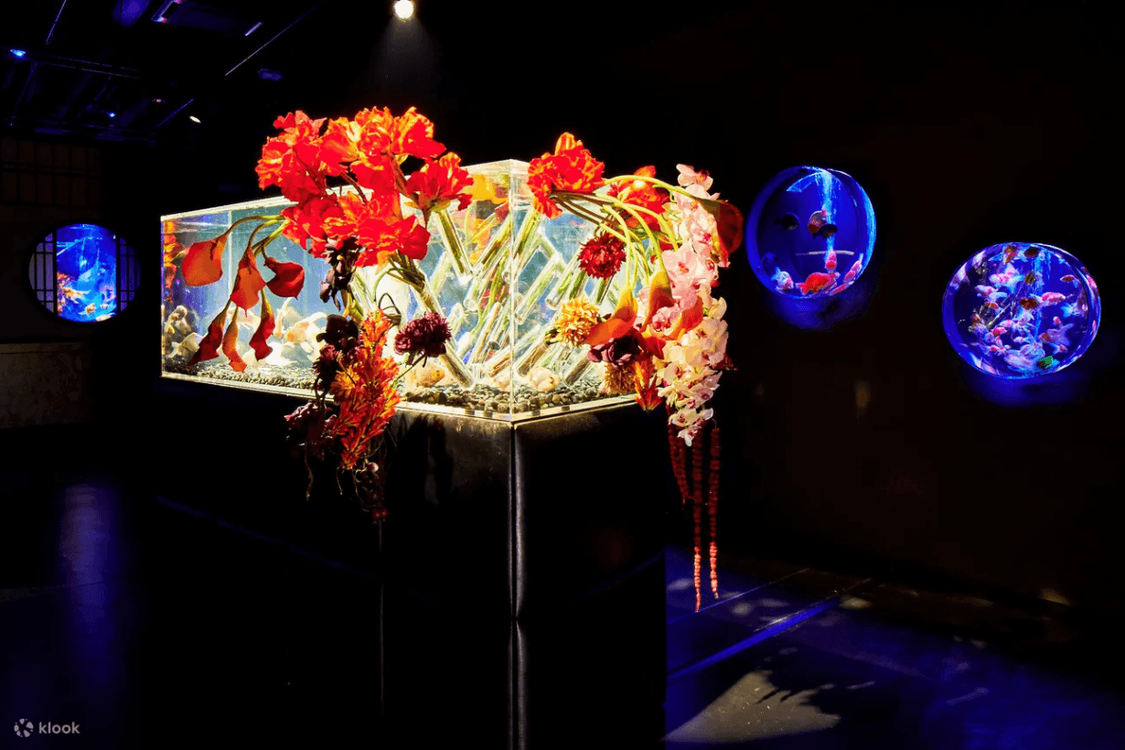 Art Aquarium in Taipei open info