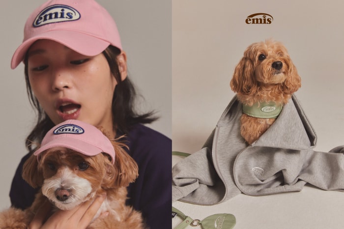 毛孩主人注意:首間 emis 寵物服飾期間限定店登陸香港,快閃活動+超可愛打卡裝置等著你