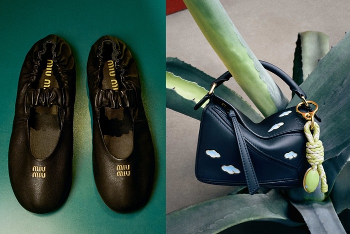 2025 新年限定系列:DIOR、LOEWE、MIU MIU...蛇來運轉時髦單品整理!