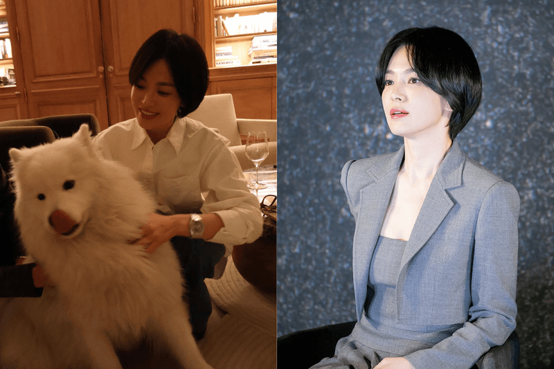 想剪短頭髮了嗎：跟著宋慧喬一起換上這款「耳際短髮」，被稱讚減齡又輕盈！