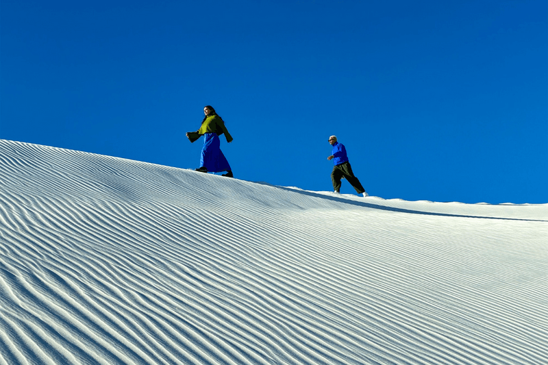 Apple iPhone 16e release info 