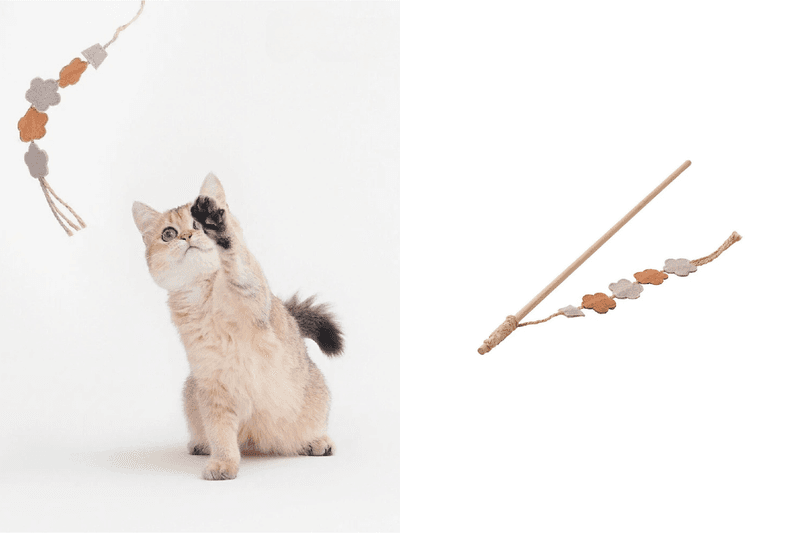 MUJI pet products new 2025 release info