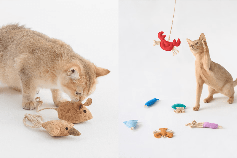 MUJI pet products new 2025 release info