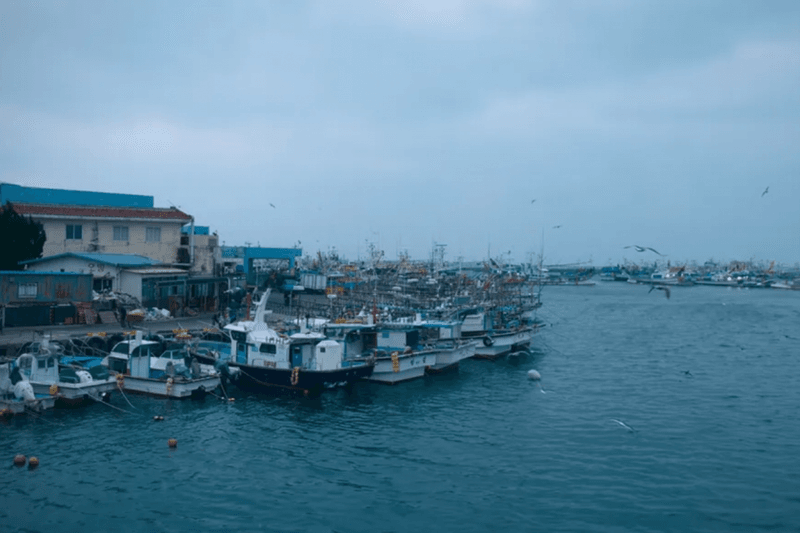《苦盡柑來遇見你》濟州島必訪景點