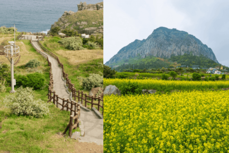 《苦盡柑來遇見你》濟州島必訪景點