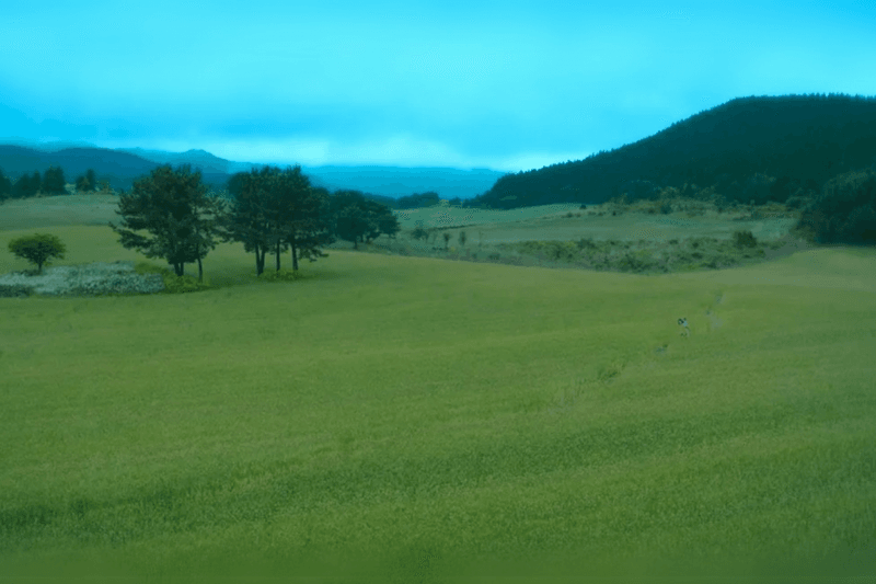 《苦盡柑來遇見你》濟州島必訪景點