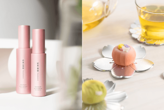 迎接浪漫櫻花季:香氛蠟燭、護髮噴霧、茶具、耳環 ... 絕美櫻花小物一次整理!